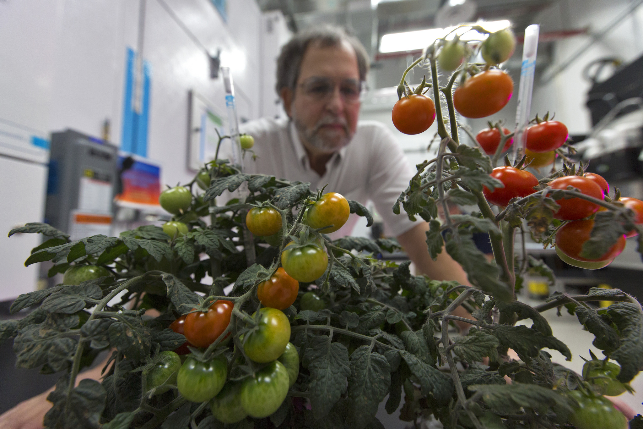 Watering space plants is hard, but NASA has a plan