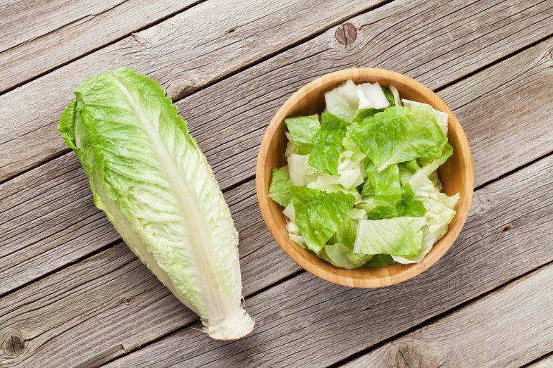 The CDC says everyone needs to toss their romaine