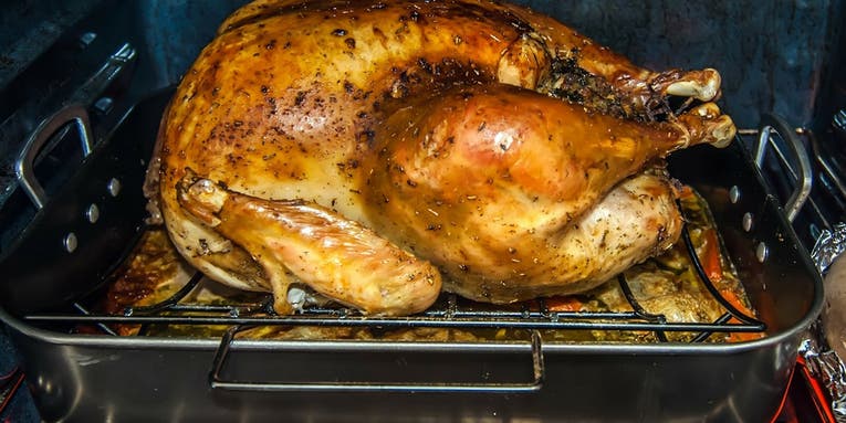 Carving up the Butterball Turkey Talk-Line’s most common questions
