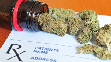 Bits of marijuana lay on a table on top of a doctor's prescription pad.