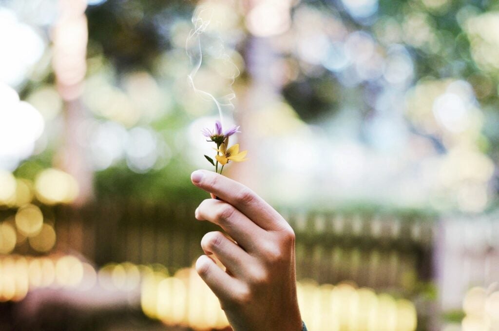 person holding a smoking flower