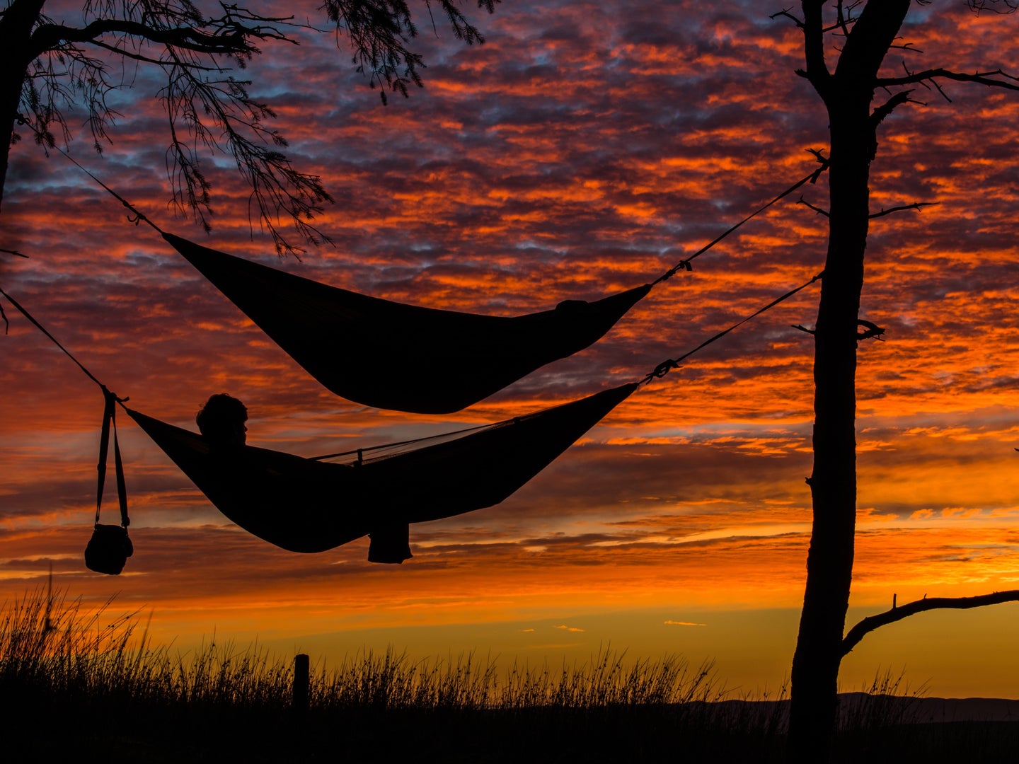 A person in a hammock between two trees, with another hammock above him, on a shoreline at sunset.