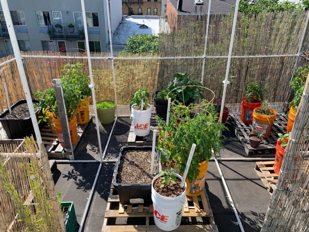 Boysen rooftop garden with self-watering containers