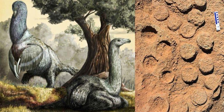 A dinosaur egg bonanza is helping ecologists understand prehistoric parenting