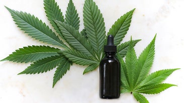 CBD-infused products for Cannabidiol newbies