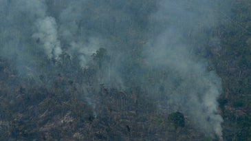 Fires in the Amazon have given us a lot to worry about, but the Earth’s oxygen supply isn’t one of them