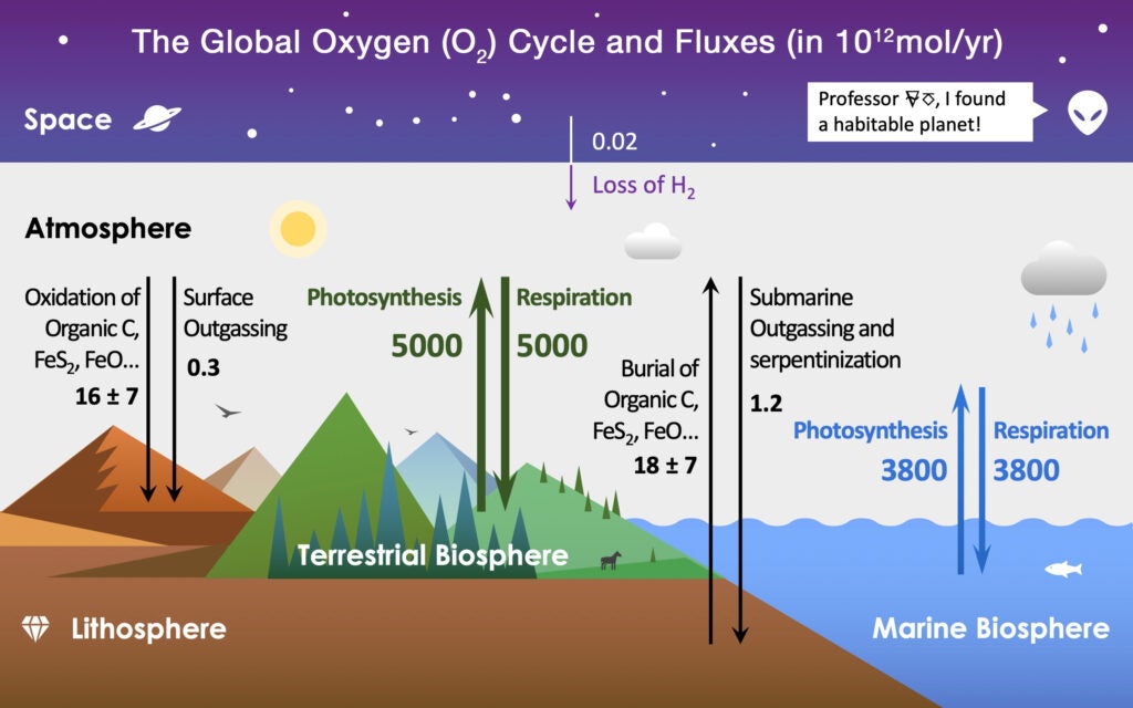 A chart on how oxygen cycles between oceans, terrain, the Earth's crust, and the atmosphere