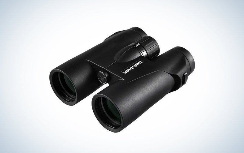 Cayzor 12x42 Binoculars for Adults Compact Clear HD Weak Light Vision Bird Watching - Professional for Travel Stargazing Hunting Concerts Sports - BAK4 Prism FMC Lens Strap Carrying Bag
