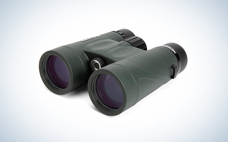 Celestron – Nature DX 8x42 Binoculars – Outdoor and Birding Binocular – Fully Multi-coated with BaK-4 Prisms – Rubber Armored – Fog & Waterproof Binoculars