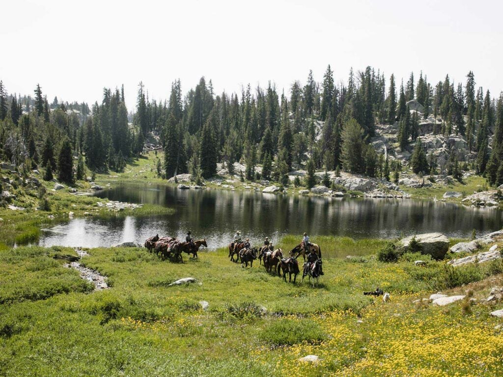 people riding horses by a lake in the outdoors