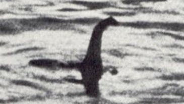 New DNA evidence may prove what the Loch Ness Monster really is