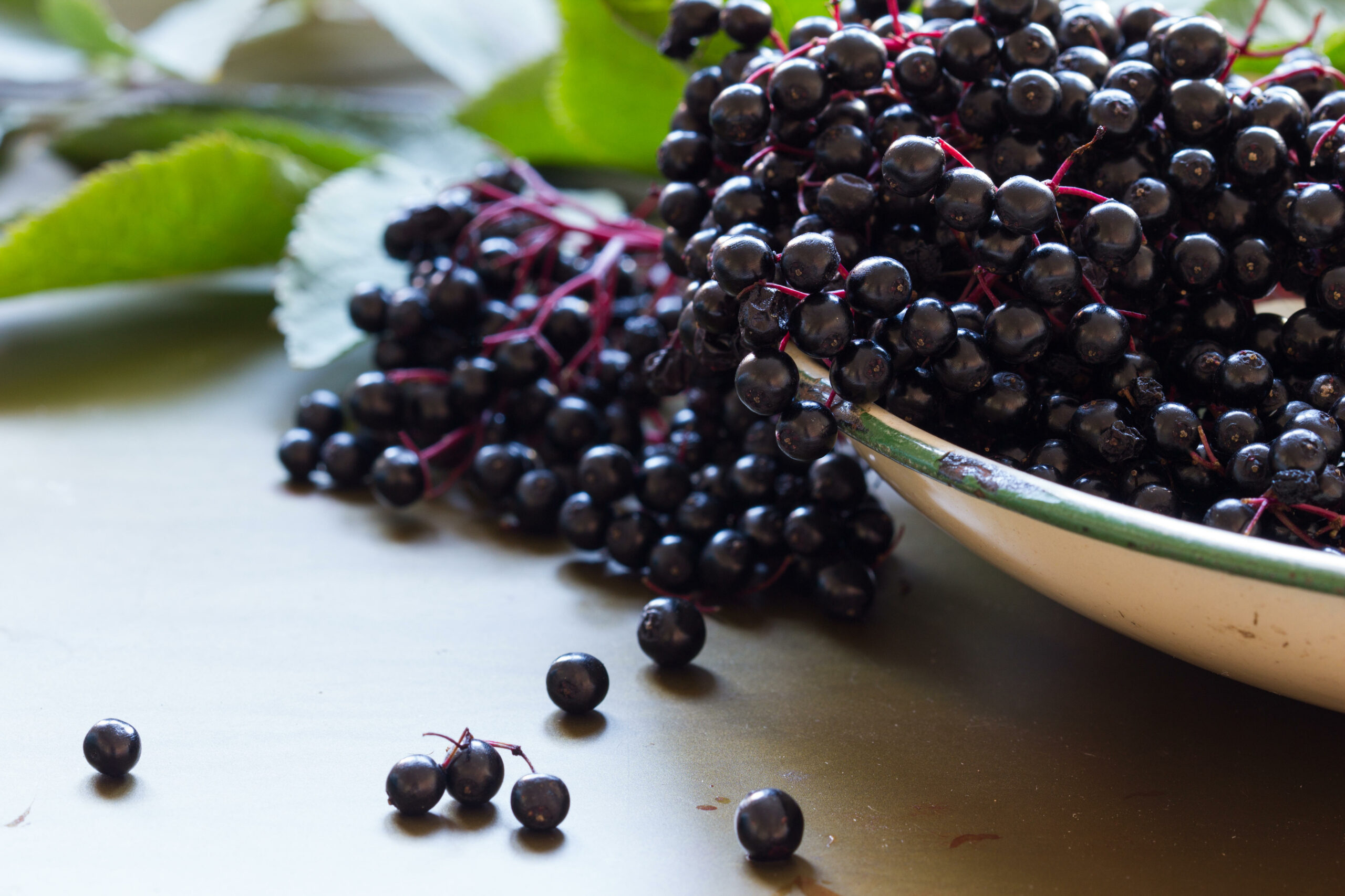 Eight tasty berries you can find in the wild