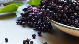 Black elderberries, Sambucus nigra, in enamel bowl with leaves on metal background. Copy space, selective focus, close up,