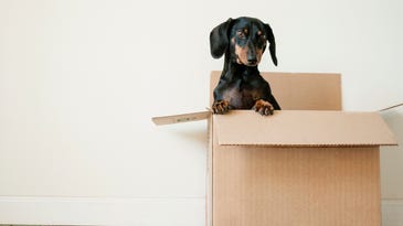 Where to find cardboard boxes when you’re moving