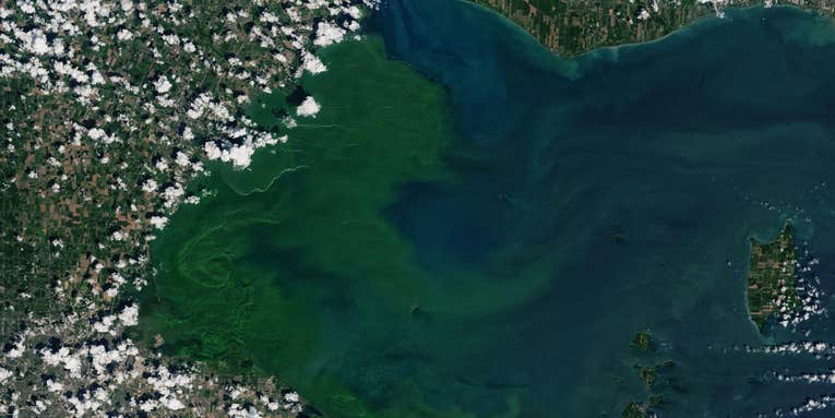 Giving legal rights to nature could reduce public health threats like toxic algae