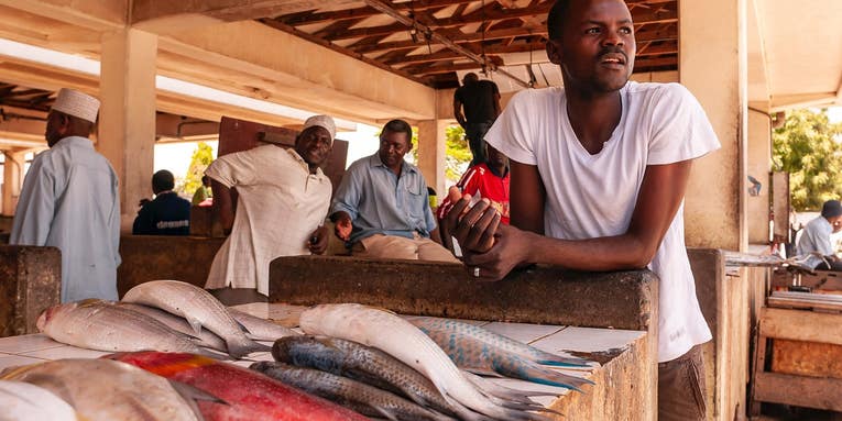 Why countries with loads of nutritious fish also have the most malnourished residents