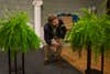 Zach Galifianakis squats between his two Boston ferns