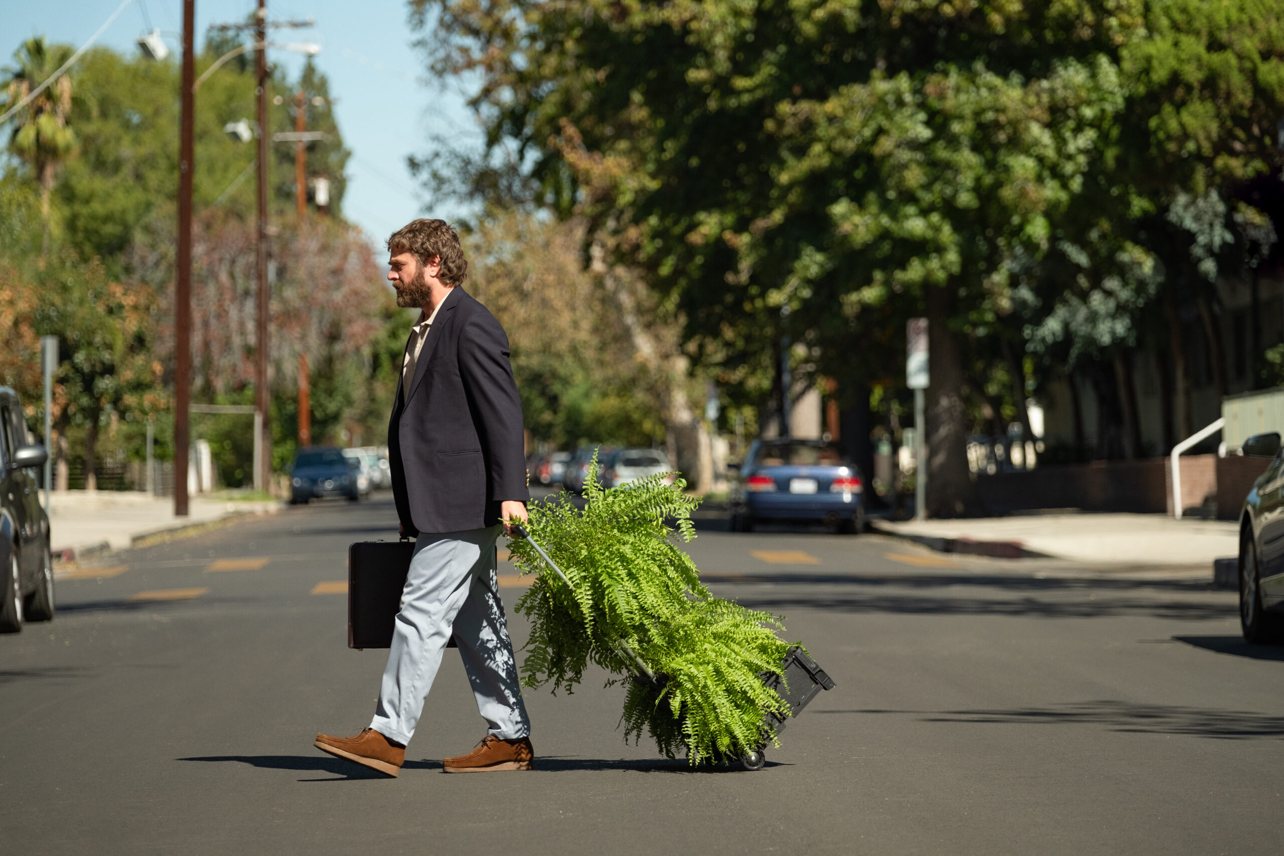 An intimate guide to the ferns from Netflix’s ‘Between Two Ferns’