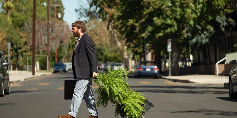 An intimate guide to the ferns from Netflix’s ‘Between Two Ferns’
