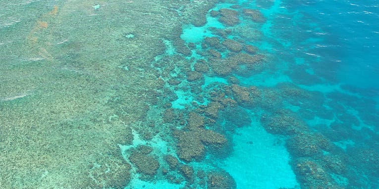 The longest Great Barrier Reef study chronicles a century of devastation