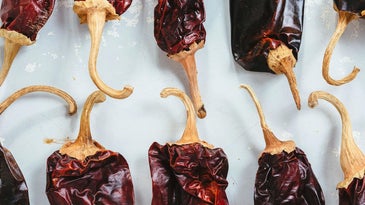 11 dried Mexican chiles to know and love, plus how to use them