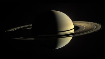 Saturn now has 82 known moons—so why did we only get one?