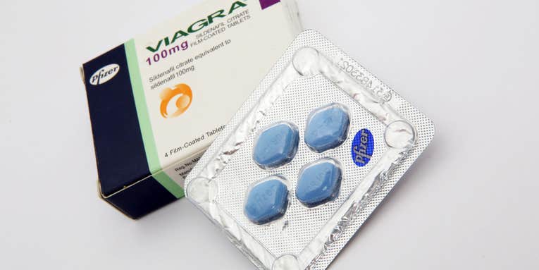 Viagra might help make stem cell transplants easier