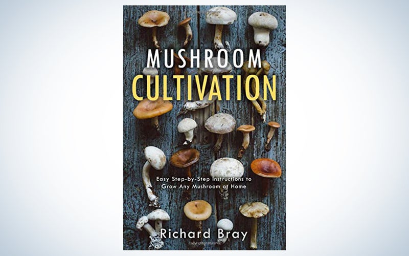 Mushroom Cultivation: 12 Ways to Become the MacGyver of Mushrooms