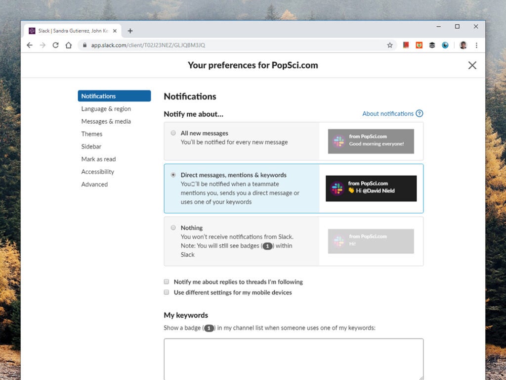Screenshot of Slack Preference page