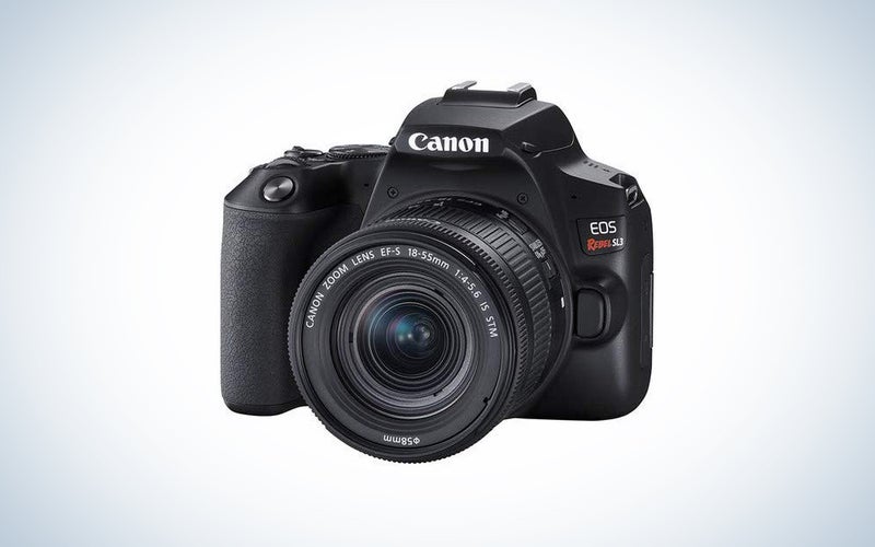 Canon EOS Rebel SL3 / 250D
