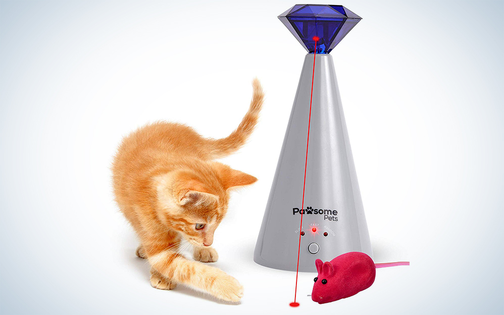 Pawsome Pets Cat Laser Toy