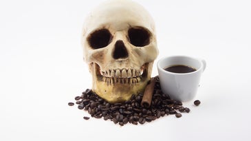 a skull and some coffee beans