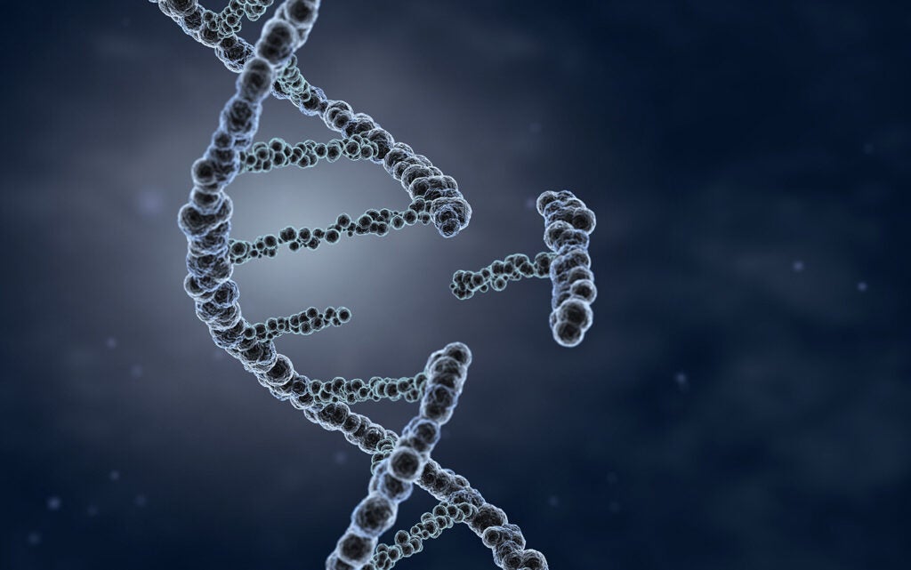 DNA strand in 3D