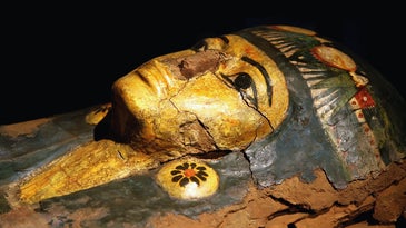Egyptian coffin mummy.