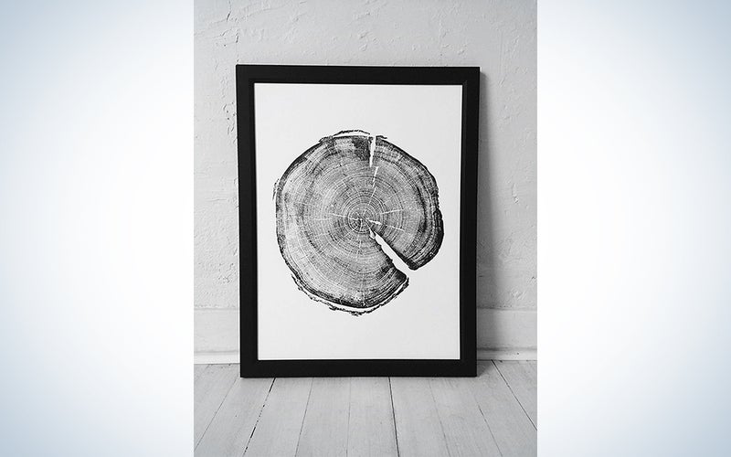 Uinta National Forest Tree Ring Print