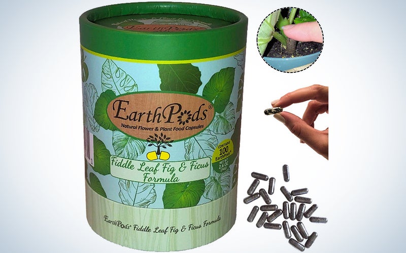 EarthPods Premium Fiddle Leaf Fig & Ficus Plant Food