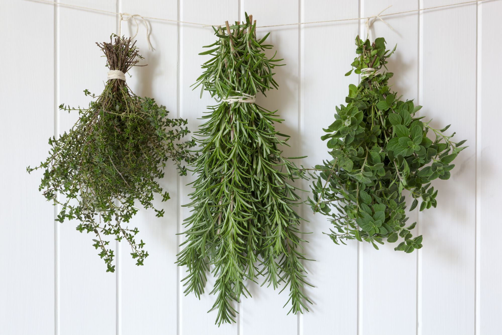 Three tricks to make your fresh herbs last year-round