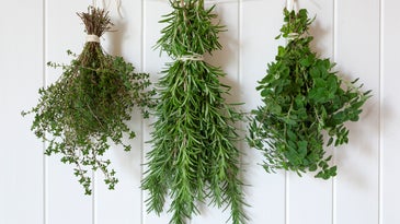Three tricks to make your fresh herbs last year-round