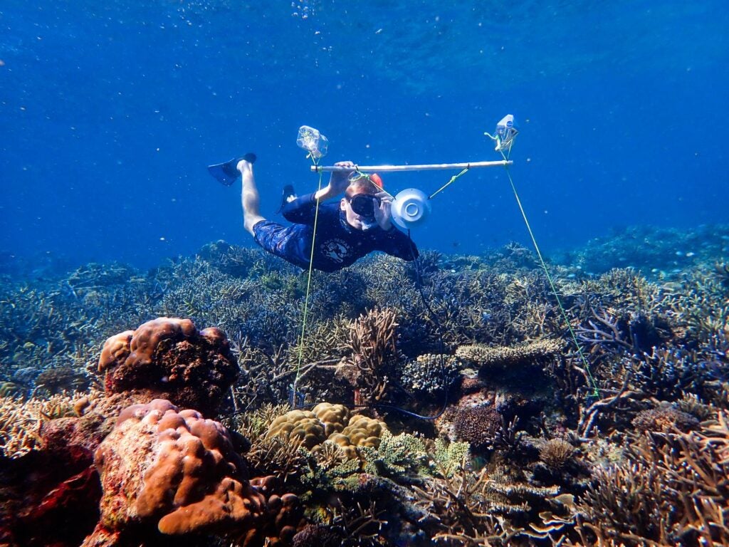 Tim Gordon deploys an underwater loudspeaker on a coral reef.
