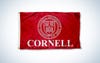 Cornell illustration course