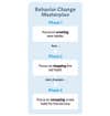 behavior change masterplan flow chart