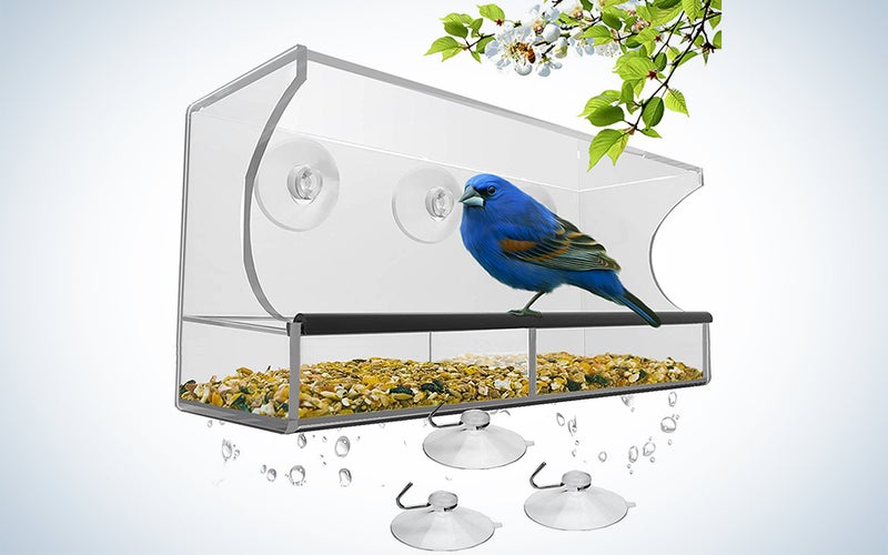 Nature’s Hangout Window Bird Feeder with Strong Suction Cups