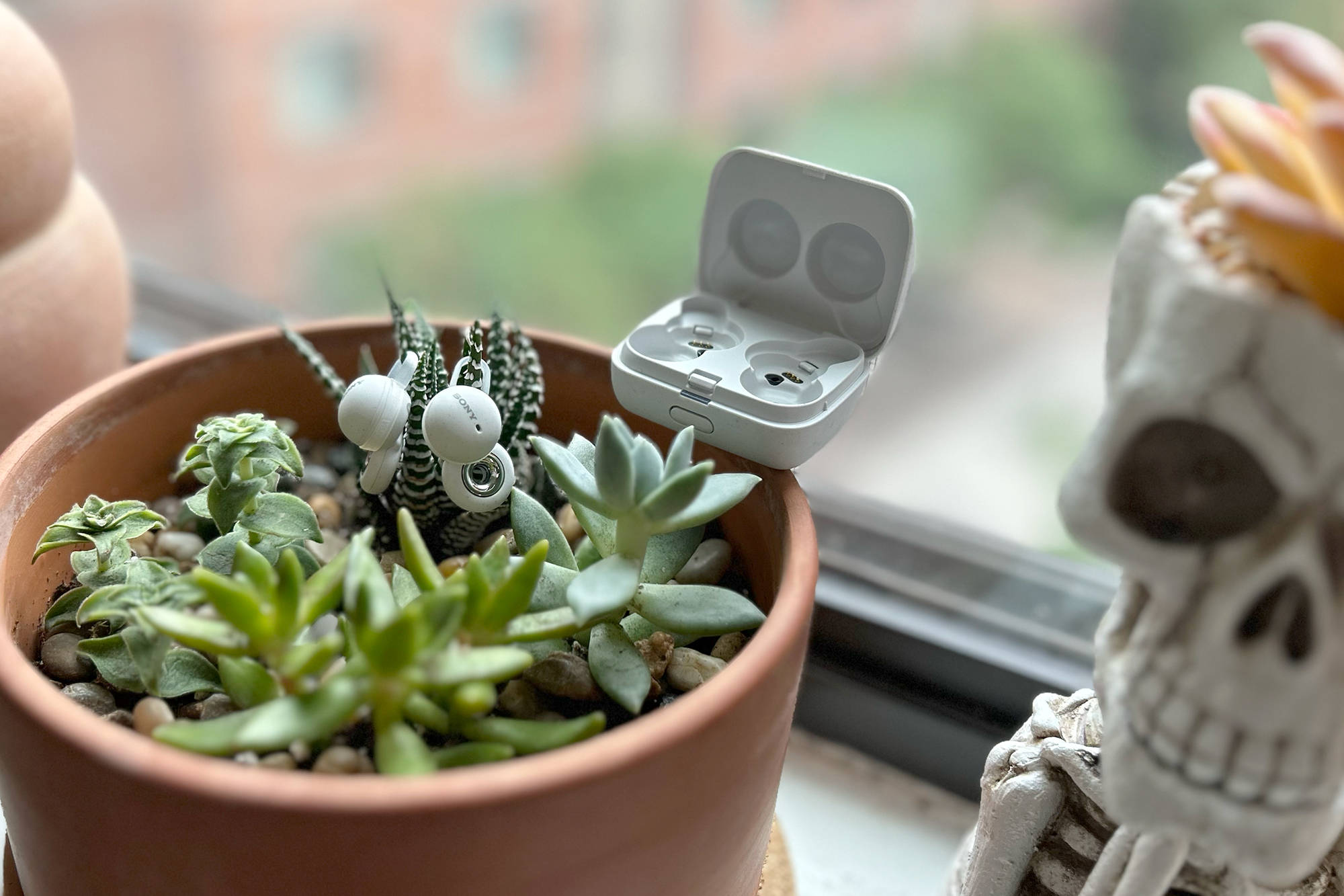 Sony LinkBuds situational awareness city running earbuds in a succulents planter