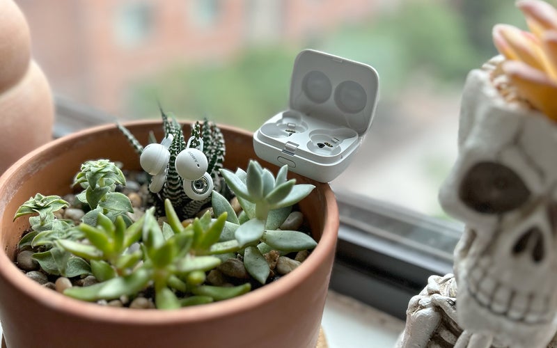 Sony LinkBuds situational awareness city running earbuds in a succulents planter