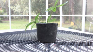 a concrete flower pot with a plant in it on a metal porch table