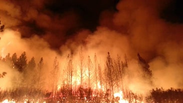 forest fires