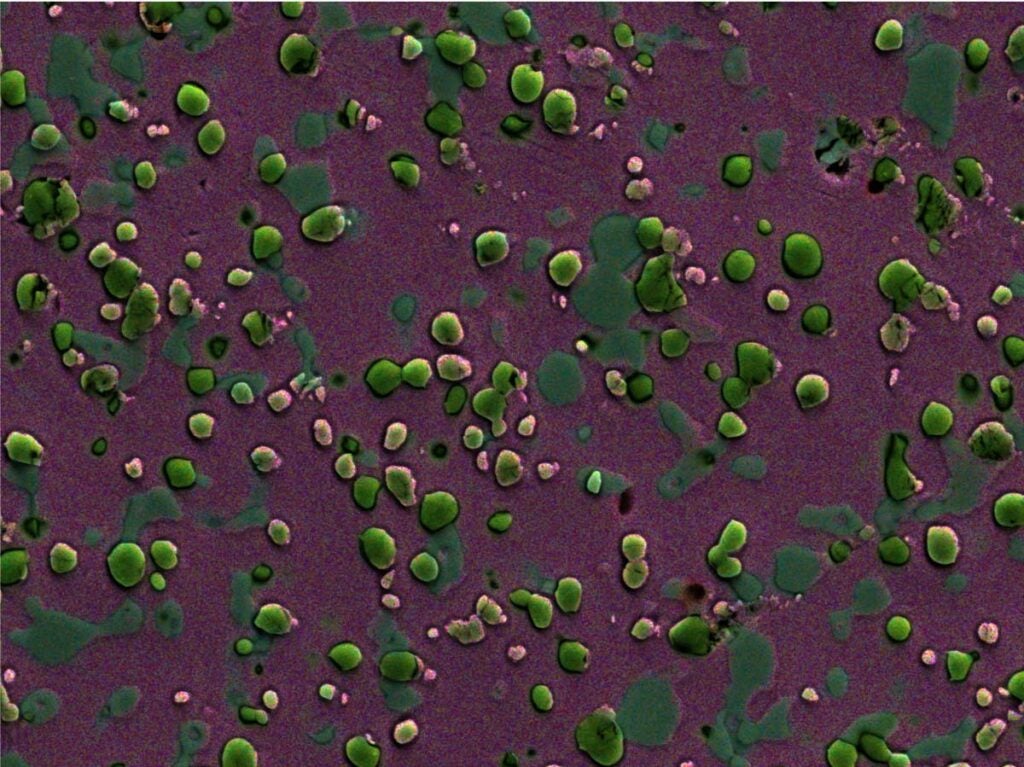 S90V Purple-ish area is the base steel Grey particles are Chrome carbides Green particles are Vanadium carbides