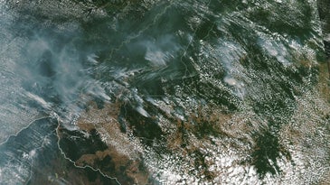 satellite image of smoke over amazon rainforest