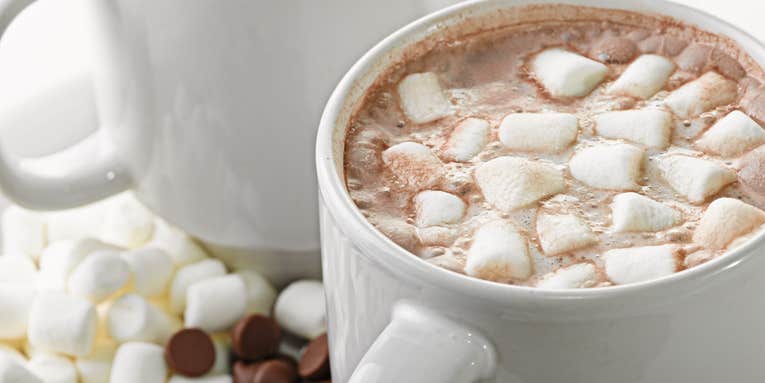 A food scientist breaks down the thermodynamics between marshmallows and hot chocolate