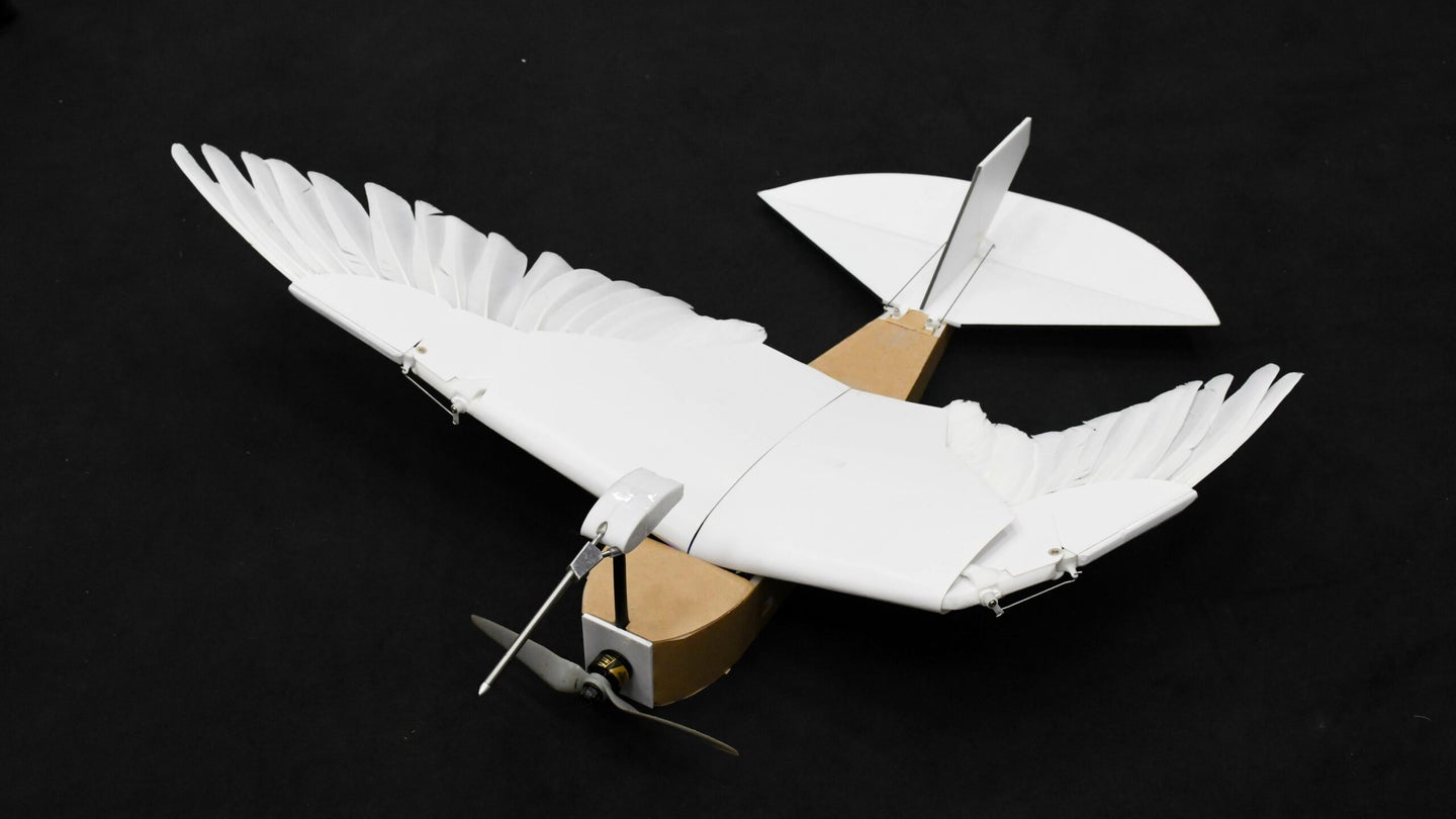 The PigeonBot flies like a bird but won’t poop like one